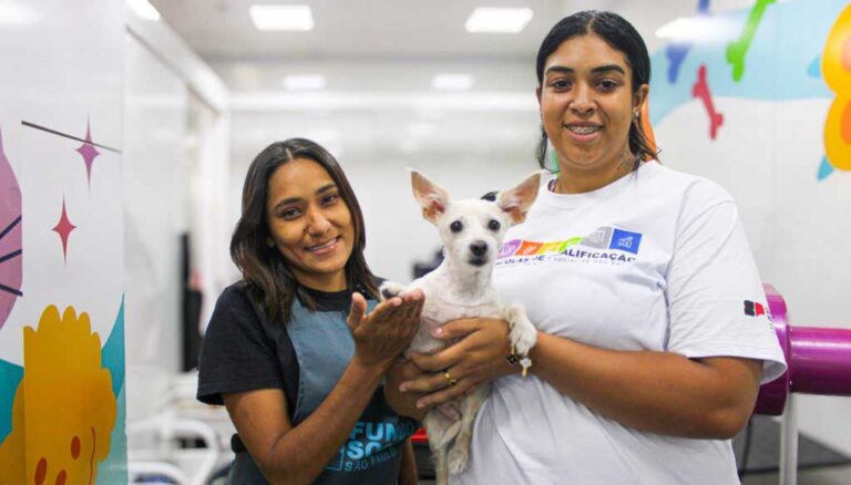 Governo de SP promove mutirões gratuitos em maio para castrar cerca de 5 mil cães e gatos