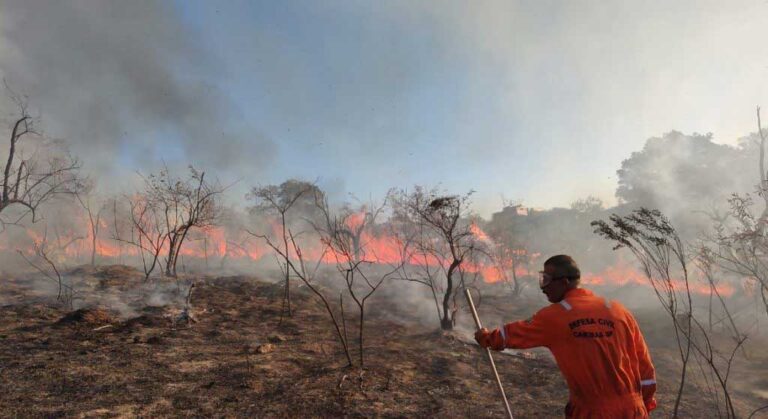 Defesa Civil alerta para aumento do risco de incêndios em SP e monitora possível influência do El Niño
