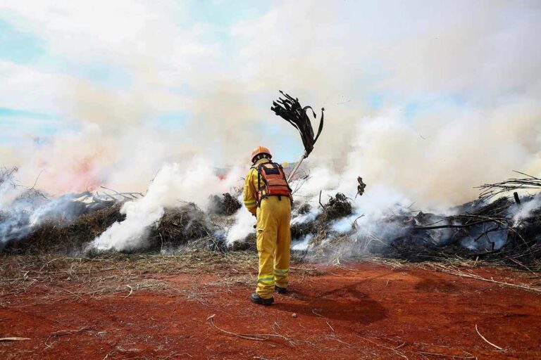 Alta temperatura e baixa umidade fazem Defesa Civil emitir alerta para risco de incêndio no interior de SP